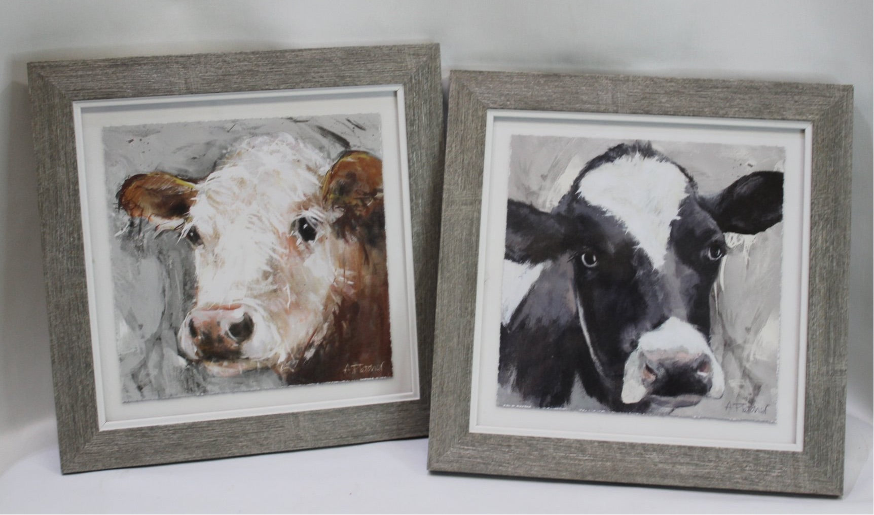 Cow Print Picture